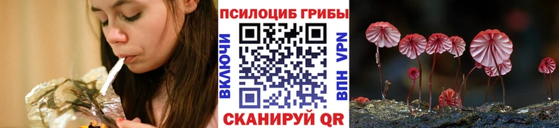 Купить где  Копейск  Псилоцибиновые грибы GOLDEN TEACHER 